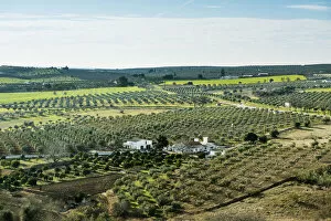 The vast plains of Alentejo with farms and olive trees. Portugal
