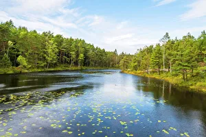 Gothenburg Prints: Vattlefjall Nature Reserve, Sweden