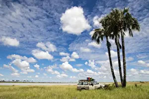 Salt Pans Prints: A vehicle parked under Palm Trees near the Makgadikgadi Salt Pans