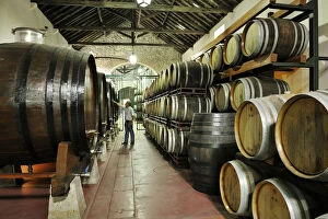 Venancio da Costa Lima wine cellars. Quinta do Anjo, Portugal
