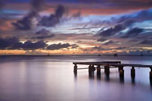 Images Dated 2011: February Collection