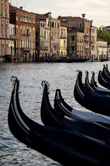 Images Dated 25th May 2022: Venice, Veneto, Italy. Gondolas bows and Grand Canal at sunset