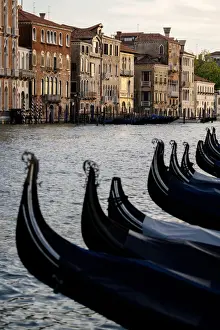 Venice, Veneto, Italy. Gondolas bows and Grand Canal at sunset