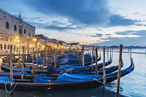 Images Dated 6th February 2018: Venice, Veneto, Italy. Gondolas moored on the waterfront of St Marks basin at dusk
