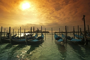 V Iew Gallery: Venice, Veneto, Italy; Gondolas tied at the Bacino di San Marco