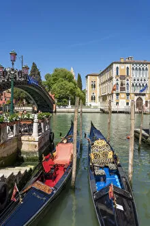 Images Dated 25th May 2022: Venice, Veneto, Italy. Grand Canal, gondolas and Accademia Bridge