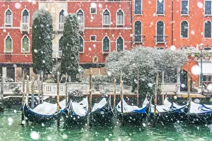 Venice, Veneto, Italy. Snowfall over moored gondolas along the Grand Canal (Canal Grande)