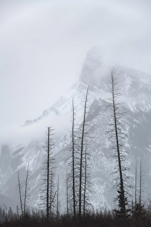 Vermillion Lake Prints: Vermillion Lake, Banff National Park, Alberta, Canada
