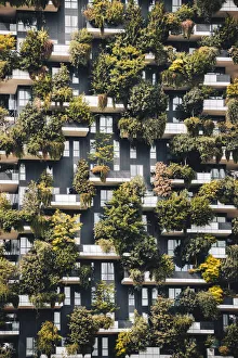 Bosco Verticale Prints: Vertical Garden, Milan, Lombardy, Italy