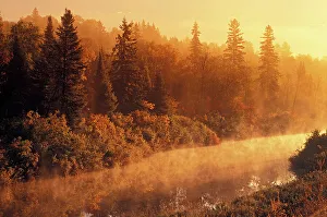 Dramatic Light Prints: Veuve River in fog at sunrise near Hagar, Ontario, Canada