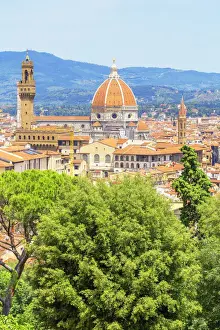 Palazzo Vecchio Prints: Vew of Cathedral of Saint Mary of the Flower and Palazzo Vecchio from Bardini gardens