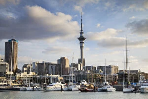 Viaduct Harbour and Sky Tower, Auckland, North Island, New Zealand