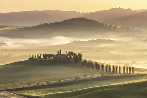 Bagno Vignoni Prints: Viale di cipressi near Bagno Vignoni, Val D'Orcia, Tuscany, Italy
