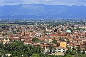 Vicenza Prints: Vicenza, Veneto, Italy