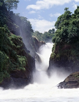 The Victoria Nile flows out of Lake Victoria into Lake Albert
