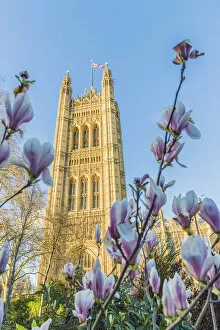 Images Dated 31st March 2020: Victoria tower at the Palace of Westminster, a UNESCO world heritage site, London