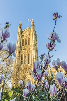 Victoria Tower Prints: Victoria tower at the Palace of Westminster, a UNESCO world heritage site, London