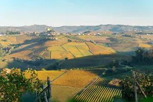 Rolling Hills Prints: Vienyards and Langhe hills with Grinzane Cavour castle in the distance. Piedmont, Italy
