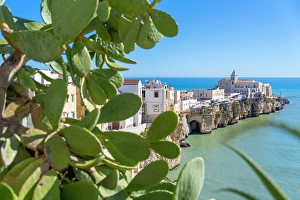 Gargano Prints: Vieste, Gargano, Foggia, Puglia, Italy. prickly pears on foreground