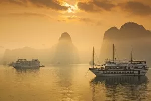 Images Dated 16th February 2015: Vietnam, Halong Bay, tourist boats, sunrise