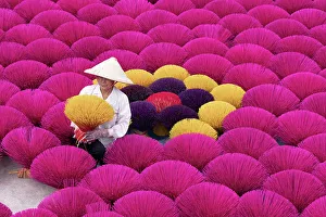 Vietnam, Hanoi, Quang Phu Cau village, a woman lays out Incense sticks