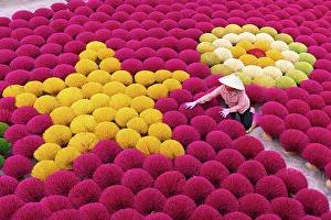 February Gallery: Vietnam, Hanoi, Quang Phu Cau village, a woman lays out Incense sticks
