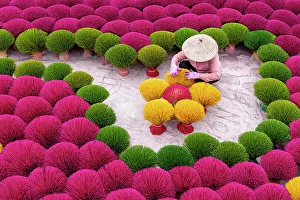 Vietnam, Hanoi, Quang Phu Cau village, a woman lays out Incense sticks