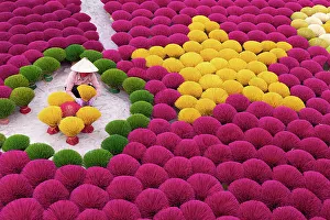 Vietnam, Hanoi, Quang Phu Cau village, a woman lays out Incense sticks