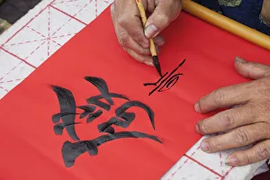 Images Dated 30th March 2011: Vietnam, Hanoi, Temple of Literature, Calligrapher