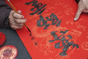 Images Dated 30th March 2011: Vietnam, Hanoi, Temple of Literature, Calligrapher