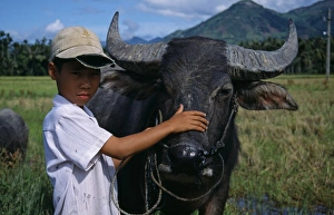 Horns Prints: Vietnam, Khanh Hoa Province, Near Nha Trang
