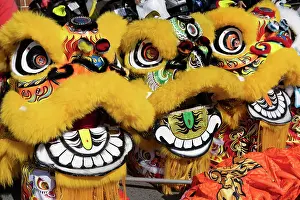 Dance Prints: Vietnam, Mekong delta, Can Tho, yellow dragons to celebrate the Tet festival