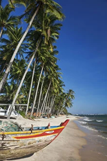 Images Dated 17th January 2013: Vietnam, Mui Ne, Mui Ne Beach, Fishing Boat and Palm Trees