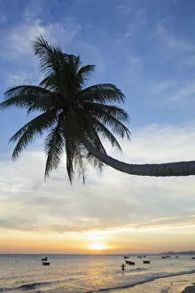 Images Dated 17th January 2013: Vietnam, Mui Ne, Mui Ne Beach, Palm Trees at Sunset