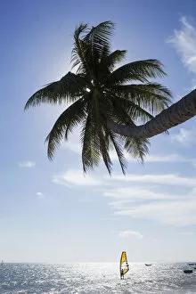Vietnam, Mui Ne, Mui Ne Beach, Windsurfer