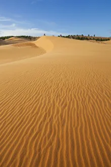 Images Dated 17th January 2013: Vietnam, Mui Ne, Sand Dunes