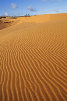 Images Dated 17th January 2013: Vietnam, Mui Ne, Sand Dunes and Tourists