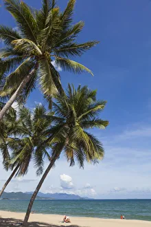 Images Dated 17th January 2013: Vietnam, Nha Trang, Nha Trang Beach, Palm Trees