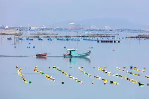 Vietnam, Phu Yen, a fishing boat pulls a basket boat in a lagoon