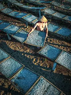 Seafood Prints: Vietnamese man handling anchovies on wooden racks, Tuy An, Phu Yen Province, Vietnam