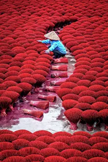 Drying Prints: Vietnamese woman organising colourful incense sticks to dry, Hanoi, Vietnam. (MR)
