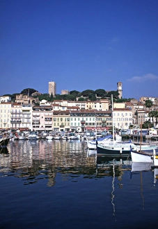 Cannes Prints: Vieux Port
