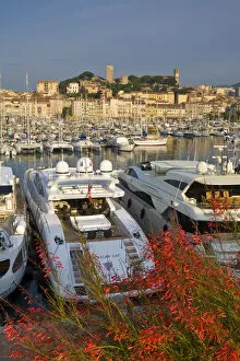 Images Dated 22nd April 2009: Vieux Port (Old Harbour) and old quarter of Le Suquet, Cannes, Cote D Azur, France