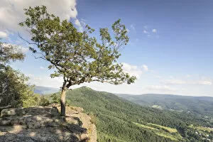 Images Dated 24th August 2021: View from Battertfelsen Rocks on Baden Baden, Black Forest, Baden-Wurttemberg, Germany