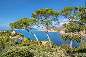 Fishing Town Prints: View of the bay of Port d`Andratx, Mallorca, Balearic Islands, Spain