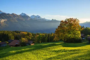 Beatenberg Prints: View from Beatenberg on the Bernese Alps, Berner Oberland, Switzerland