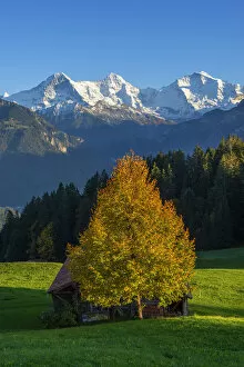 Hans Georg Eiben Collection: View from Beatenberg on Eiger, Monch and Jungfrau, Berner Oberland, Switzerland