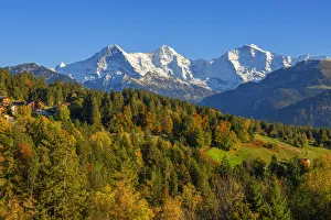 View from Beatenberg on Eiger, Monch and Jungfrau, Berner Oberland, Switzerland