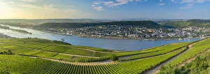 View of Bingen, vineyards and River Rhine, Rudesheim, Rhineland-Palatinate, Germany