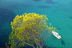 Transparent Prints: View of Cala Galdana and sailboat, Menorca; Balearic Islands; Spain; Europe